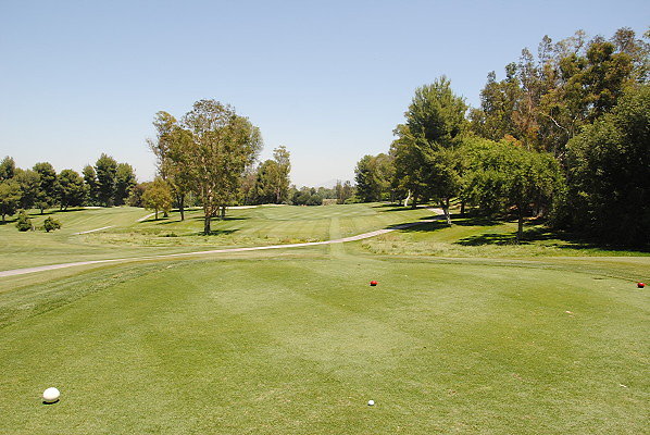 DSC 0250