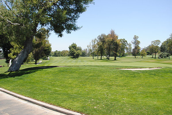 DSC 0146