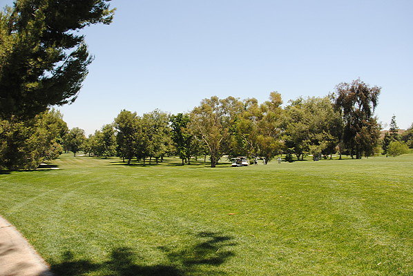 DSC 0177