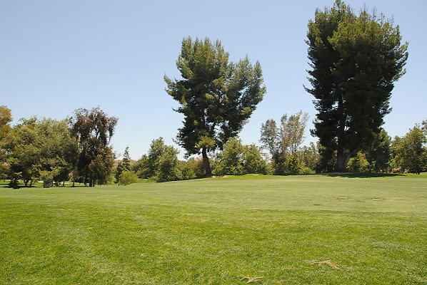 DSC 0178