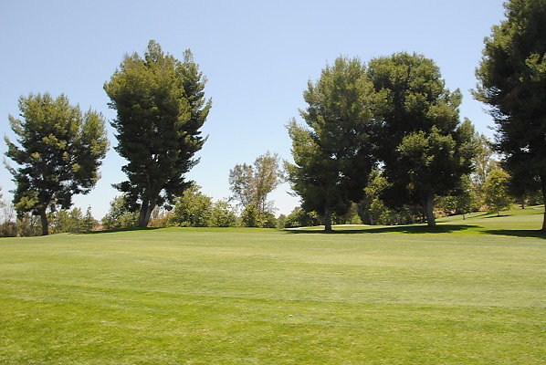 DSC 0174