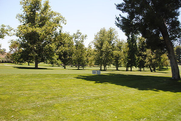 DSC 0230