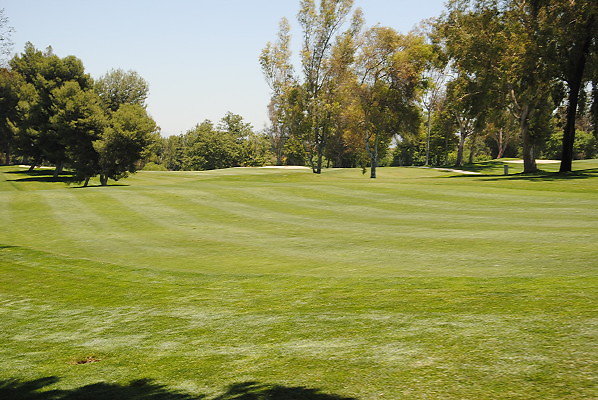 DSC 0162