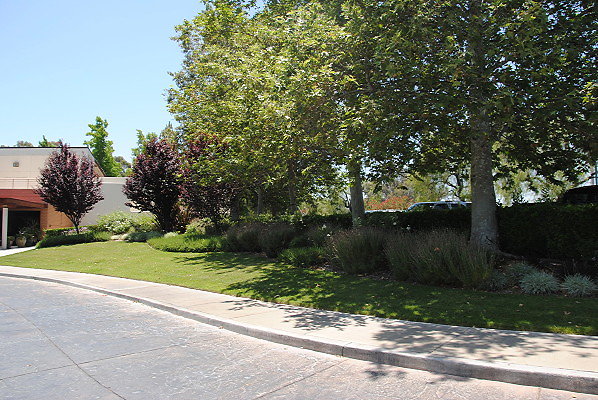 DSC 0151