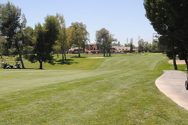 DSC 0241