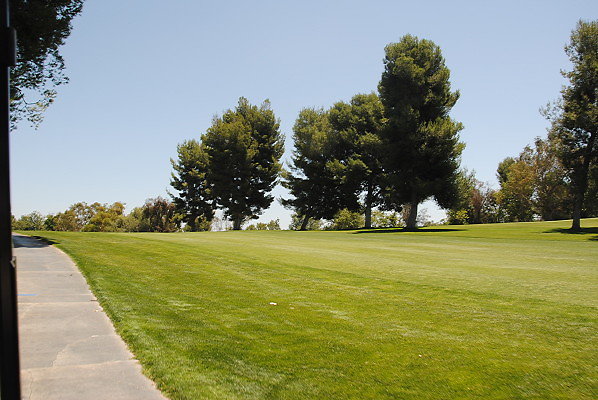 DSC 0170