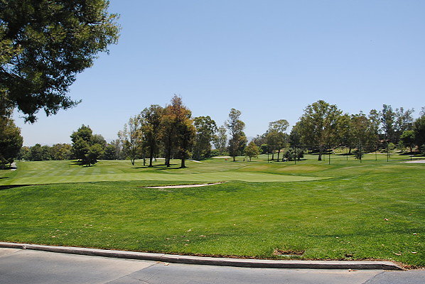DSC 0149