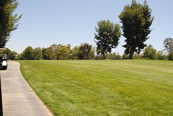 DSC 0173