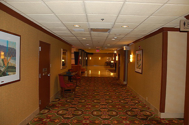 DSC 0408