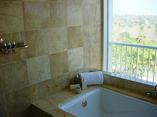 815 Bath Tub