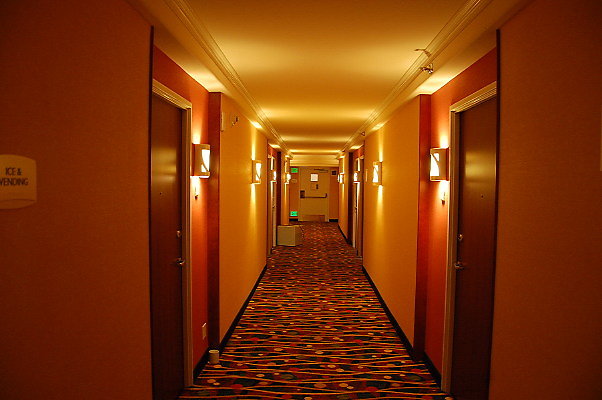 DSC 0339