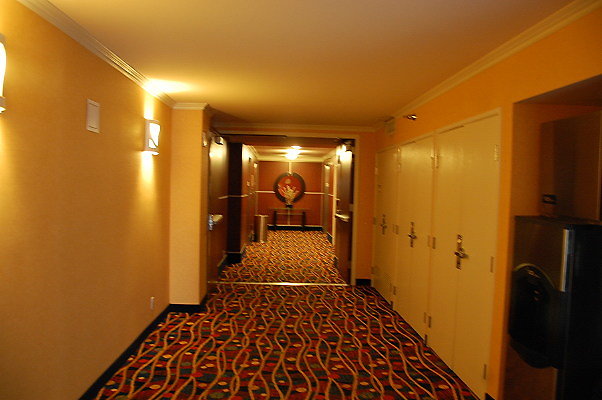 DSC 0341