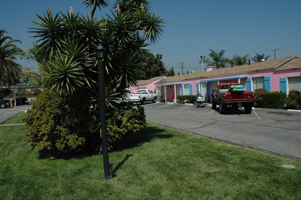 DSC 0084