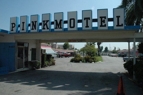 DSC 0091