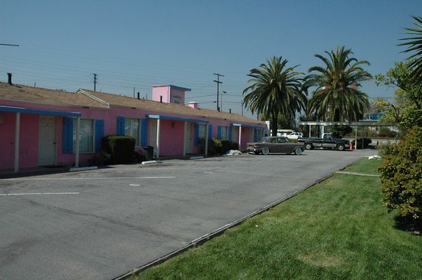 DSC 0082
