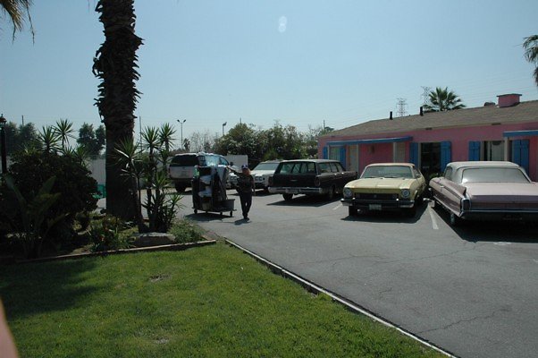 DSC 0081