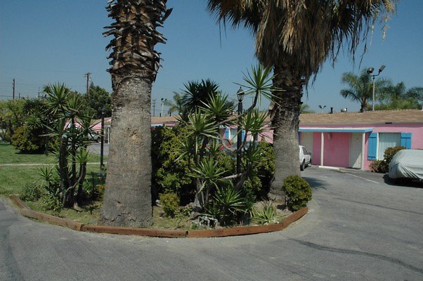 DSC 0078
