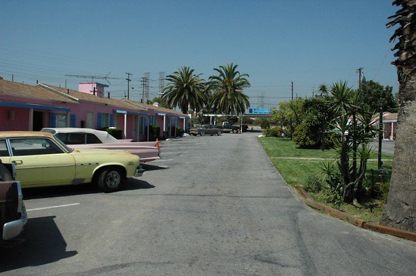 DSC 0075