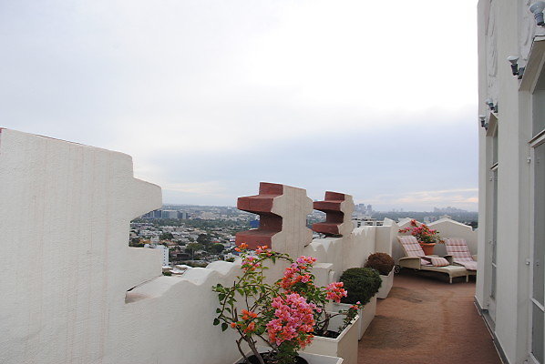 DSC 0147a