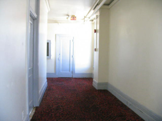 IMG 8887