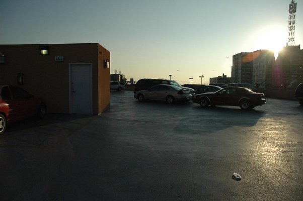 DSC 0320