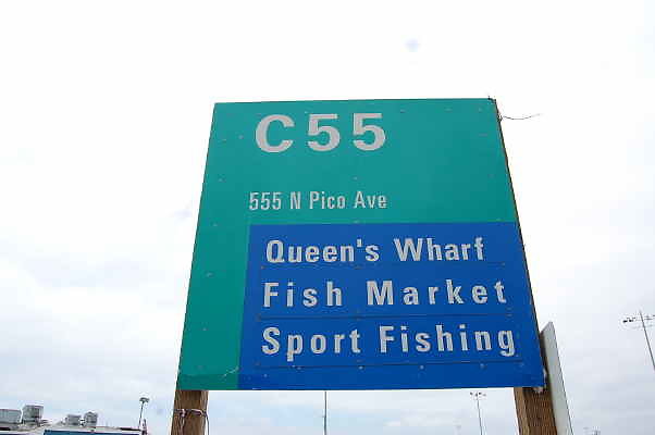 DSC 0101