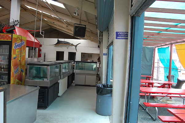 DSC 0017
