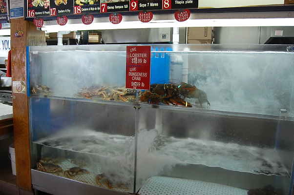 DSC 0067