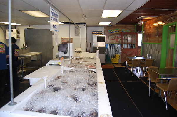 DSC 0082