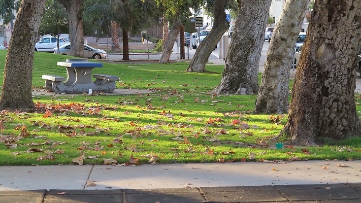 Anderson Park San Pedro GLazz 12.13 IMG 6610