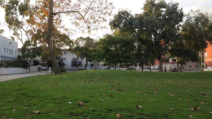 Anderson Park San Pedro GLazz 12.13 IMG 6619