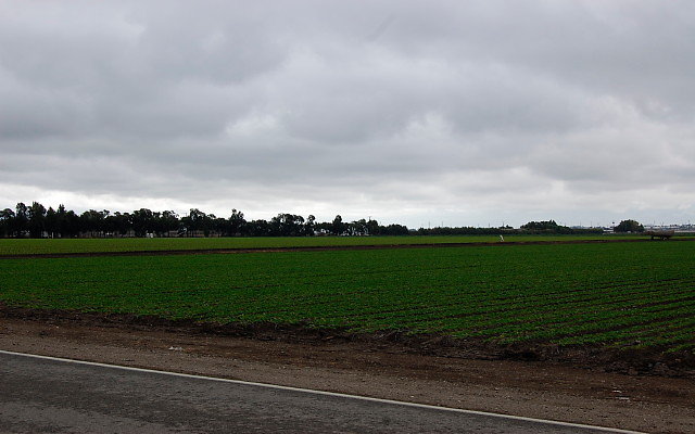 DSC 0078