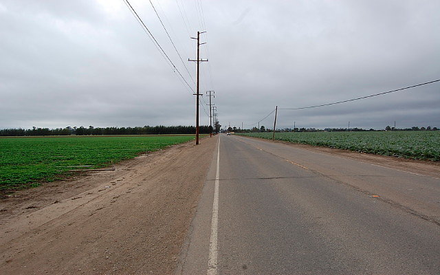 DSC 0131