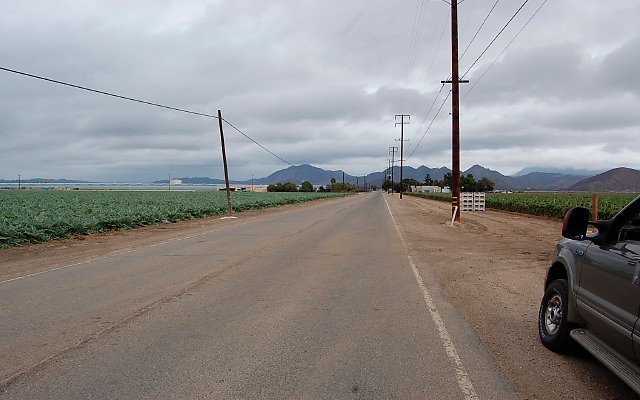 DSC 0132