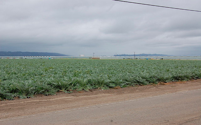 DSC 0138