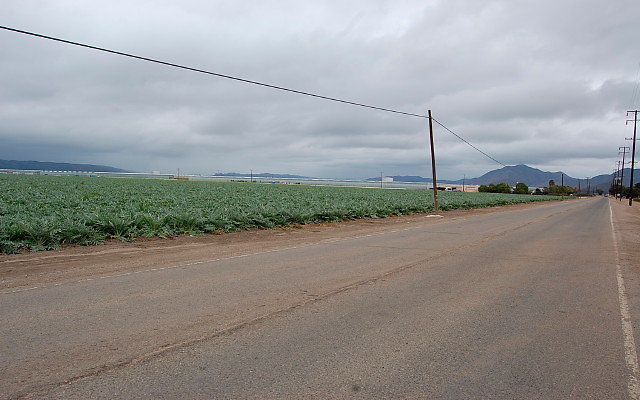 DSC 0135
