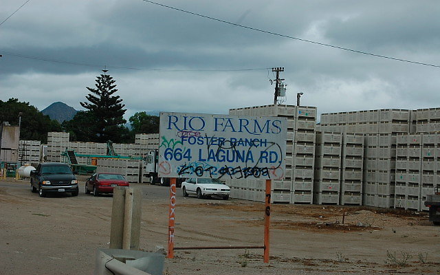 DSC 0140