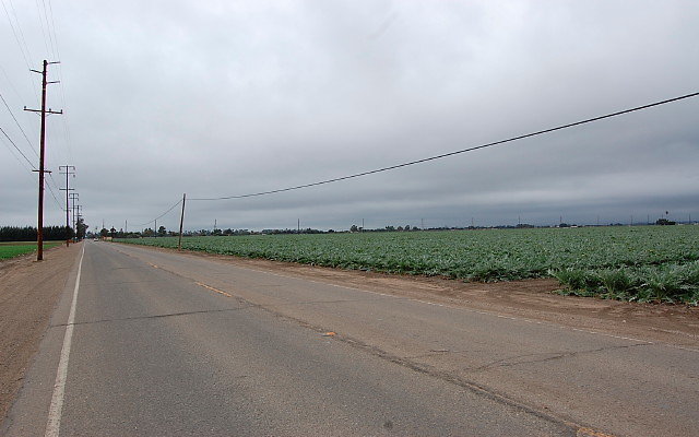 DSC 0133