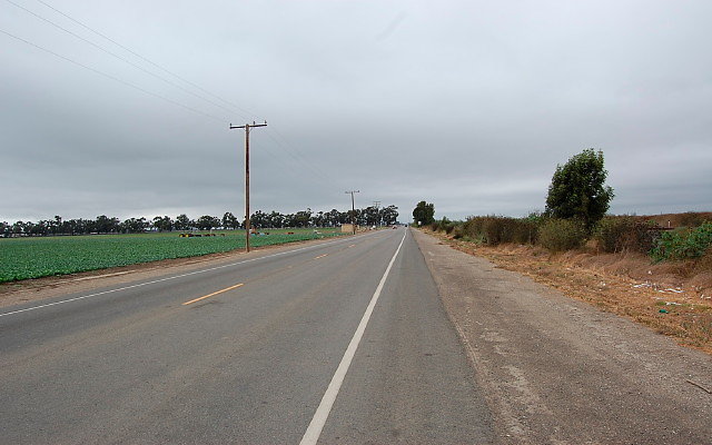DSC 0125