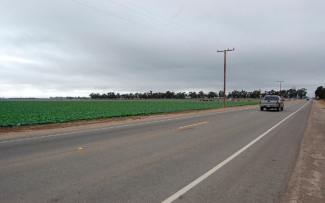 DSC 0121