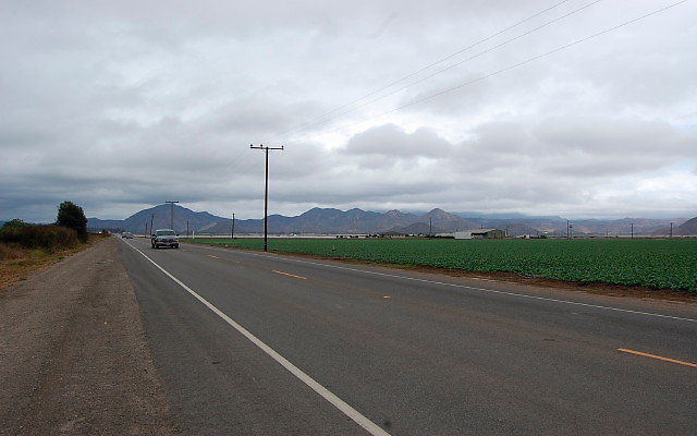 DSC 0119