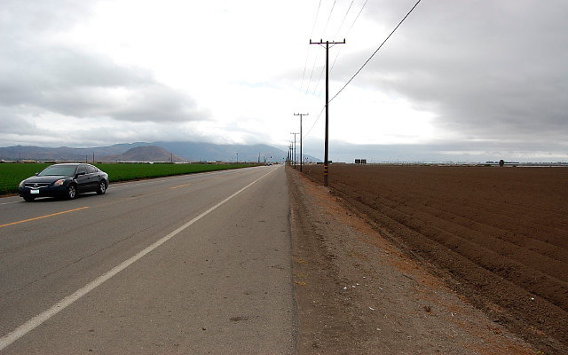 DSC 0094