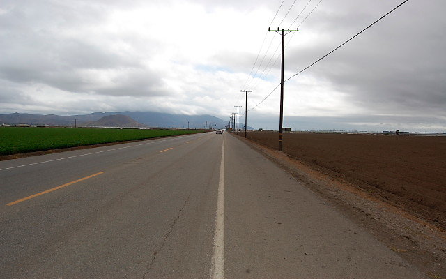DSC 0092