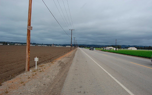 DSC 0095