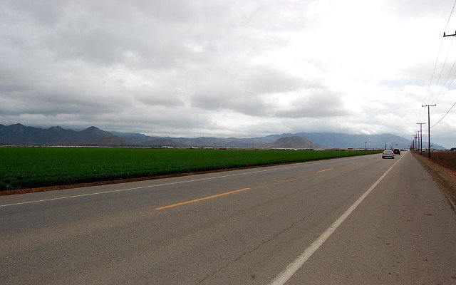DSC 0090