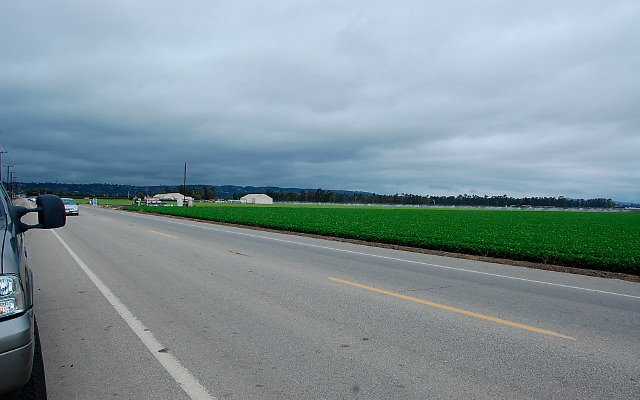 DSC 0088