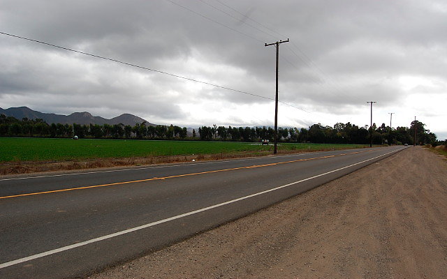 DSC 0106