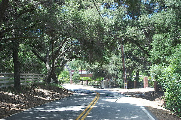 DSC 0579
