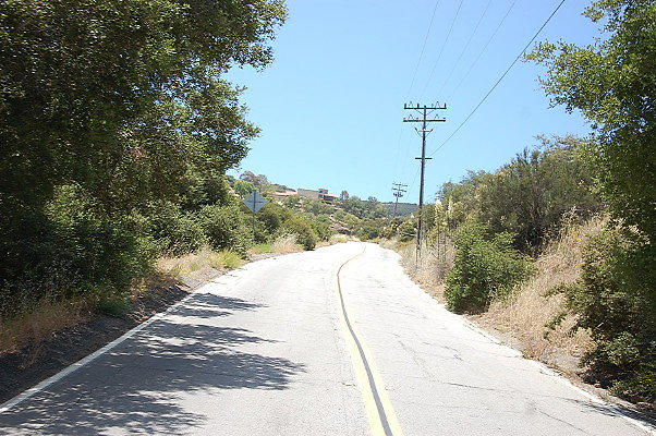 DSC 0568