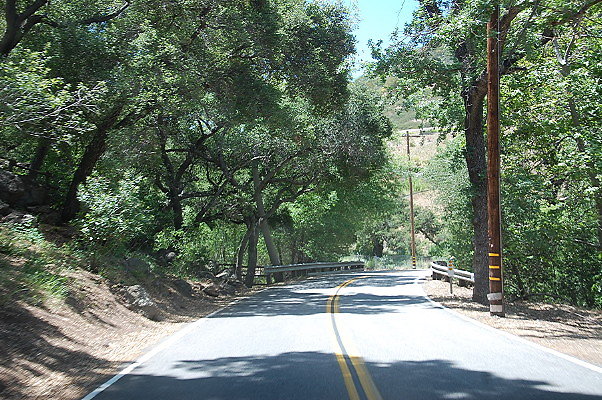 DSC 0586